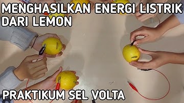 Praktikum Sel Volta Kelas 12