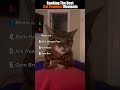 Ranking The Best Cat Funniest Moments 🐈
