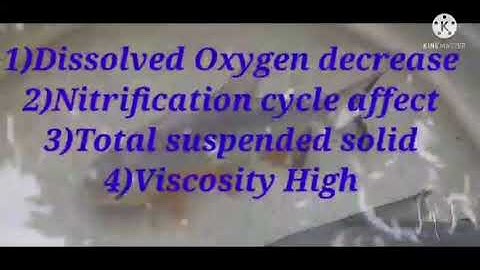 Do you know the Required Testing Kits and Tools for Biofloc Shrimp Part-2 #shorts