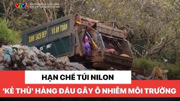Hạn chế sử dụng túi nilon - 