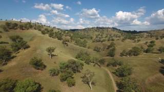 Foothills of Great Dividing range HD
