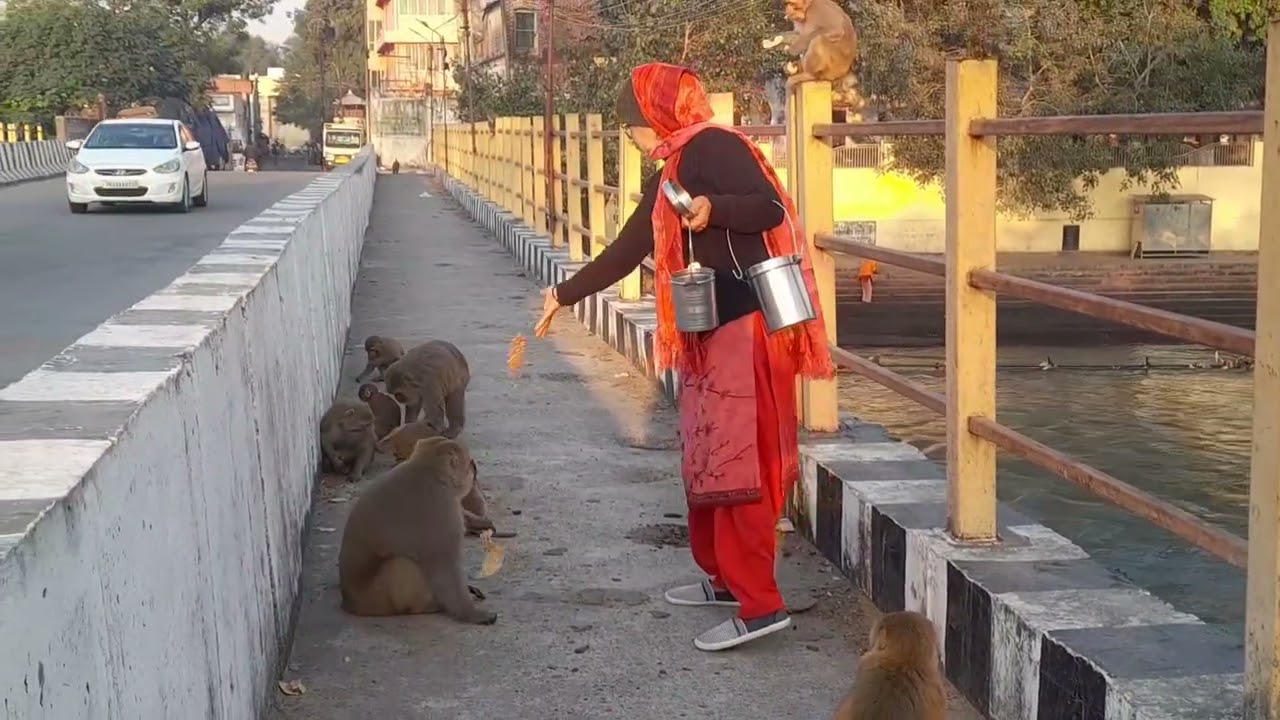 Aaj dekho kon kon aya raja ki parja se...