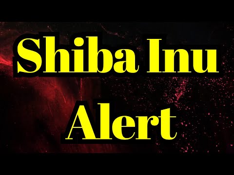 Peringatan Shiba Inu: Sinyal Grafik Utama SHIB Diharapkan dalam 2 Hari