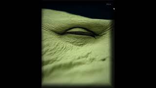 Vibecoding a depth flow and parallax UI to trip on some textures