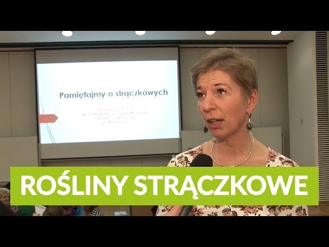 Pamiętajmy o strączkowych - Wszechnica Żywieniowa SGGW