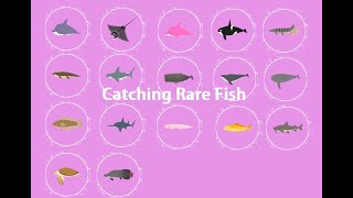 Play Together | Catch All New Rare/Legendary/Epic Fish. Fish Real Time Schedule