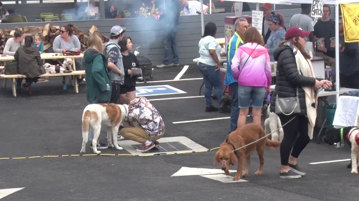 Dogtown Pupperpalooza