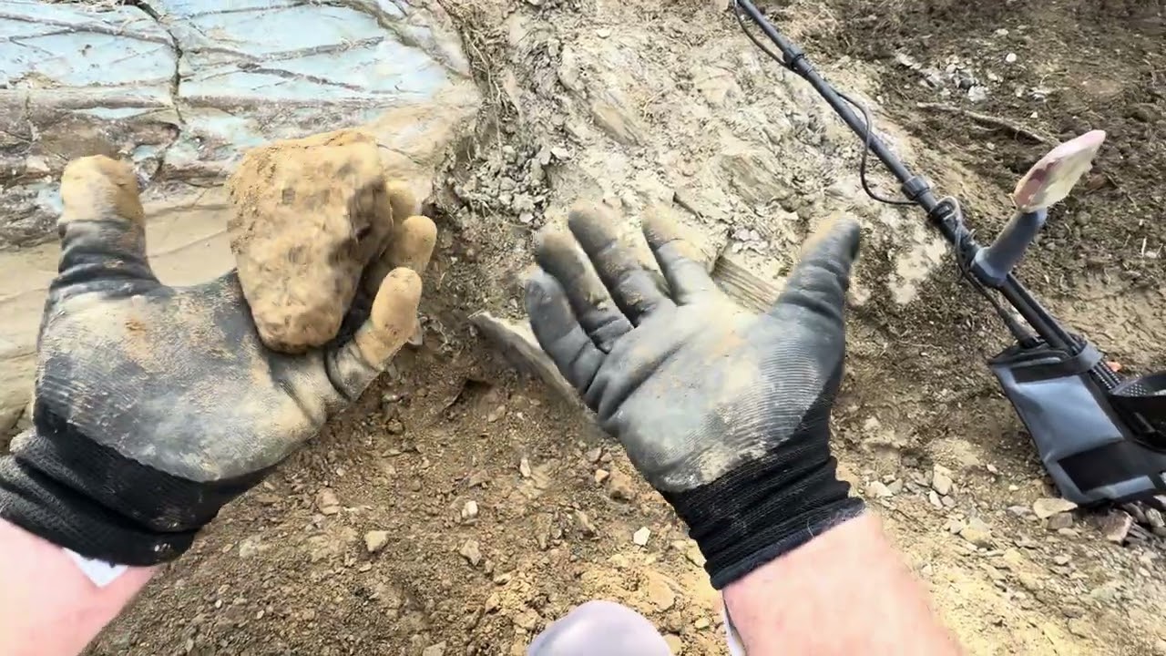 Finding gold nuggets in Arizona with my metal detector! 