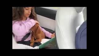 Vizsla Puppy Loves Reading Time