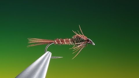 Flytying for Beginners Pheasant Tail Nymph with Barry Ord Clarke