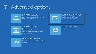 0x00000101 CLOCK_WATCHDOG_TIMEOUT Blue Screen Error Fix Windows 11