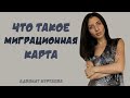 Что такое миграционная карта