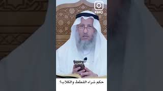 حكم شراء القطط والكلاب؟ - عثمان الخميس