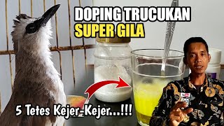 Di luar dugaan Bahan dapur jadi DOPING TRUCUKAN Super Ampuh