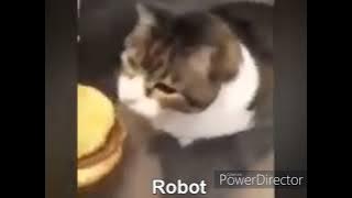Here kitty you can has cheeseburger, but it's autotuned