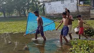 Village Boy Amazing Fish Catching In The Pond Village Boys Are Fishing Unique Idea Fishing