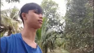 9341ea0c b7a5 4ca1 8408 10f5f6829888