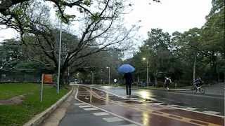 Parque do Ibirapuera - São Paulo