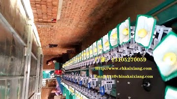 lemon grading machine/lemon weight sorting machine