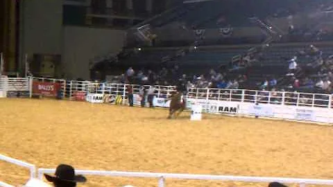 Lisa Cronk on Champ