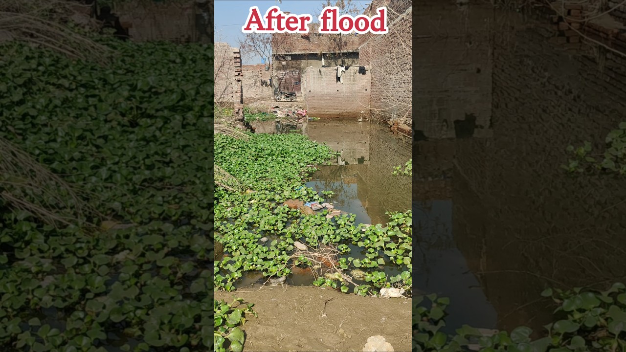 after the flood rebuilt the theme park view society 