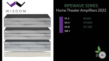 Wisdom Audio Amplifiers 2022 - SA-2, SA-3, SA-8, SW-1