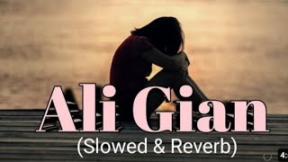 Ali Gian (Slowed & Reverb) 💜😘