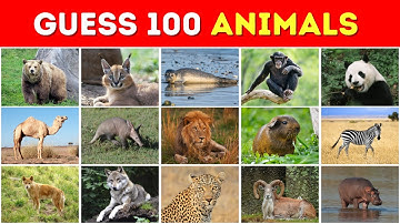 🐾 Can You Guess 100 Animals in Just 5 Seconds? ⏱️🔥