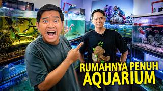 SIDAK RUMAH PENUH AQUARIUM! TERNYATA ADA IKAN WARNA-WARNI KESUKAAN AKU DISINI! FISH FRENZY INDONESIA