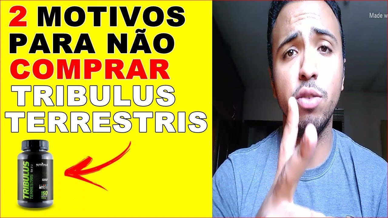 Tribulus Terrestris Tribulus Terrestris Funciona? Tribulus terrestris