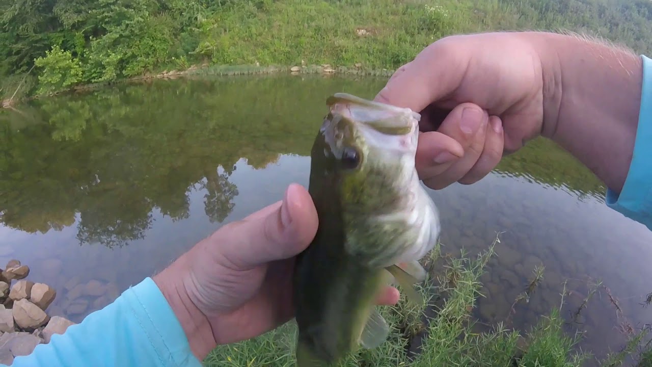 Upper Mud River Lake West Virginia YouTube Upper Mud River Lake West Virginia YouTube