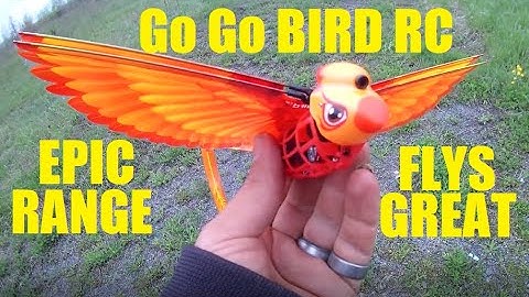Go Go Bird RC Bird Toy FLYS GREAT in MILD WIND Flight Test Review