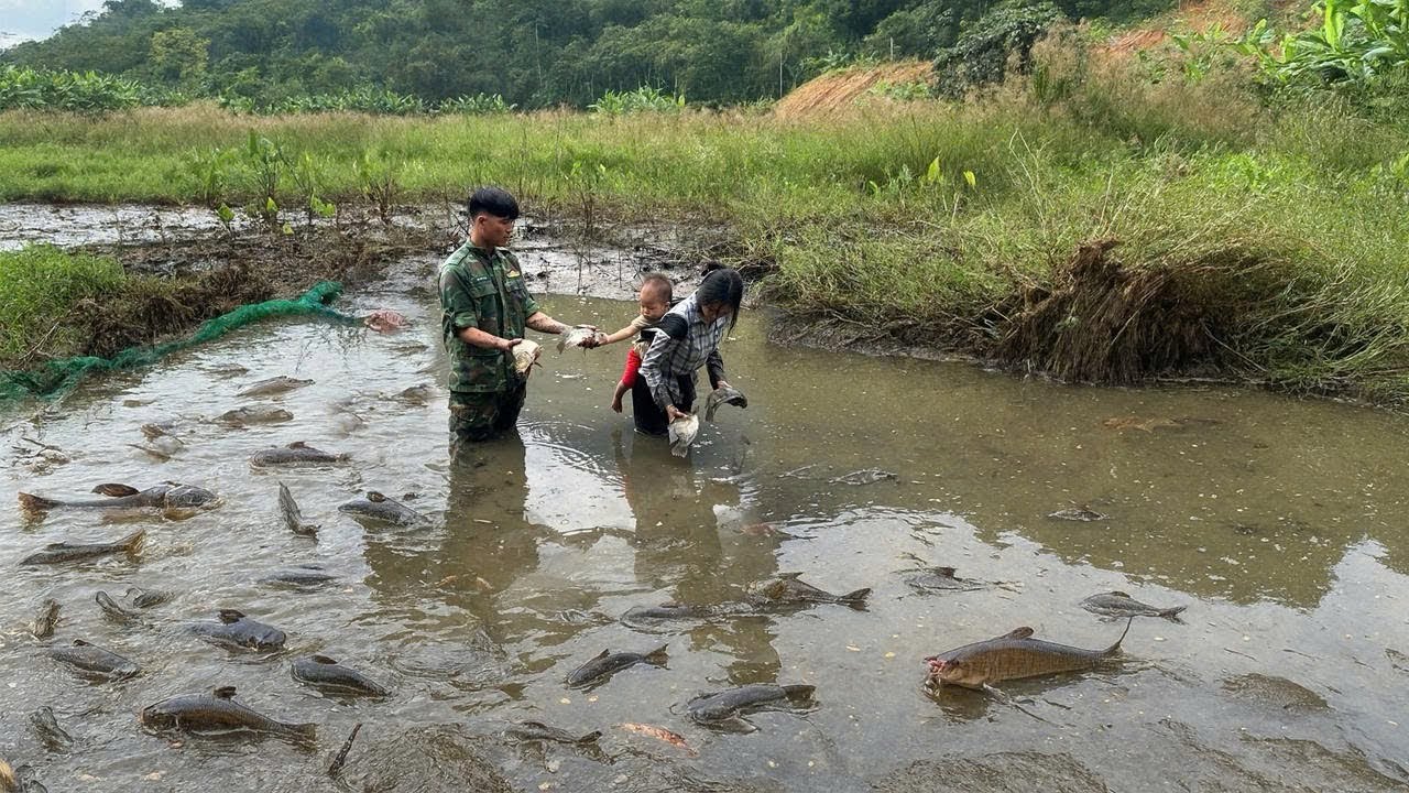Homeless single mother catches fish in the lake to sell for money - YouTube