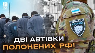 Бійці РДК під час рейду в Бєлгородській області взяли у полон 25 російських військовослужбовців!