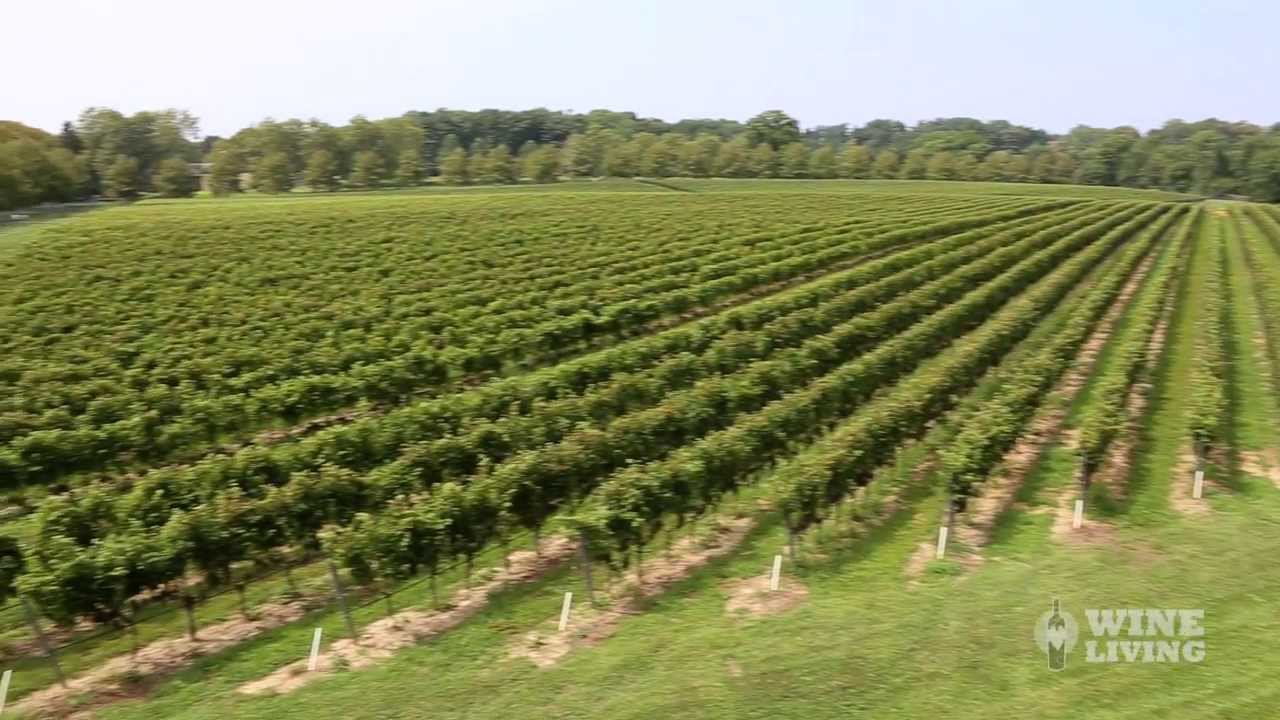 Pennsylvania Wine Tours Karamoor Estate Winery YouTube