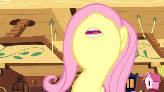Fluttershy - No