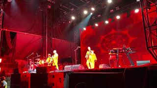 DEVO, Desert Daze 2019