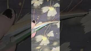 pa pa pa #foryou @MrBeast @realfoolsshorts63 @MrBean @YouTube