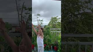 Typhoon Uwan November 2025