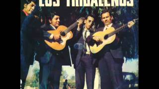 Video thumbnail of "GATO NEGRO ( Kaluyo ) Los Trigaleños"