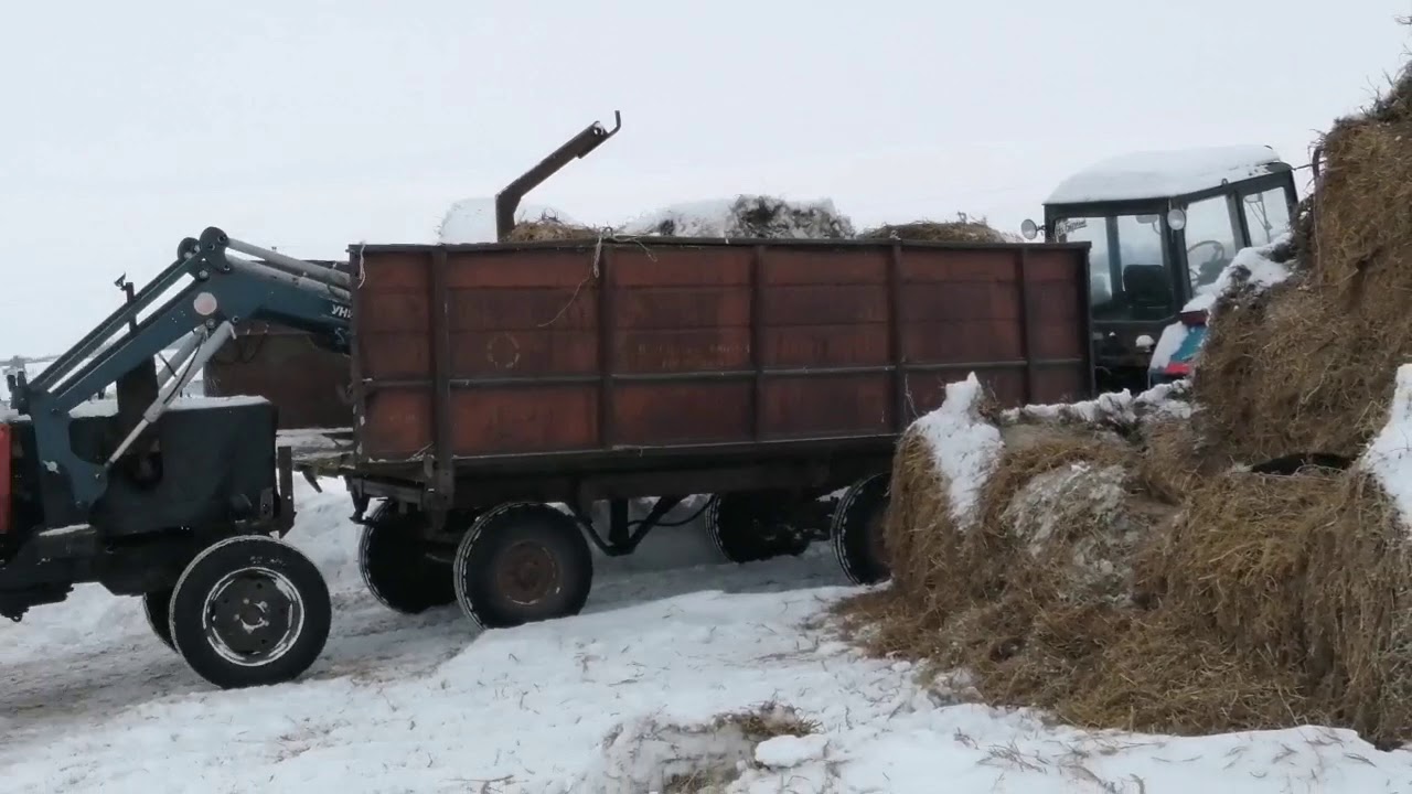 Сена и уаза