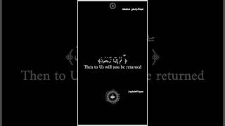 شاشة سوداء قران كريم عبدالرحمن مسعد سورة العنكبوت {يَا عِبَادِيَ الَّذِينَ آمَنُوا}