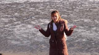 Place To Visit In Japan