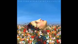 The Pineapple Thief - Don&#39;t Tell Me (Acoustic)