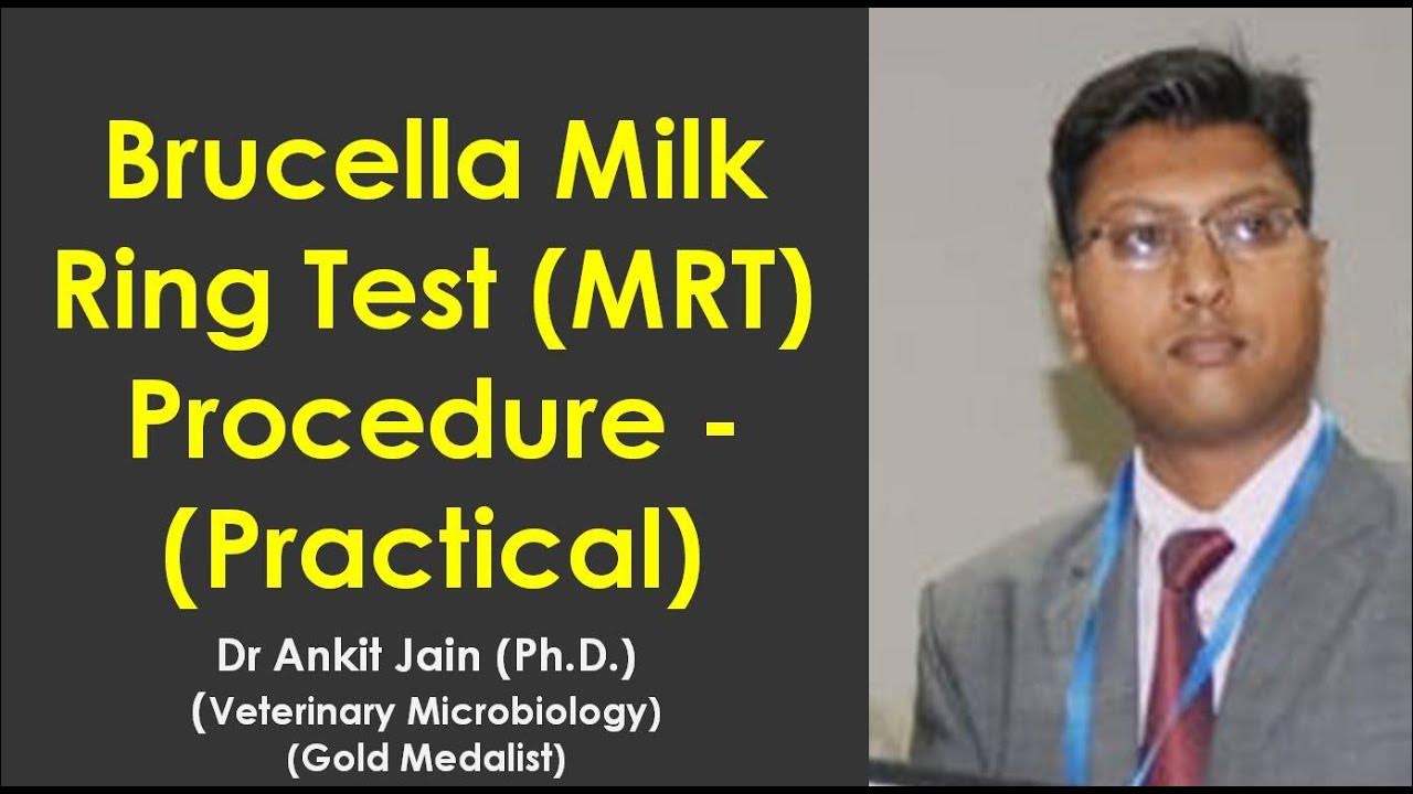 Brucella Milk Ring Test (MRT) Procedure Practical YouTube