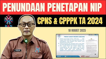 🔴 #BKN - RAPAT PENUNDAAN PENETAPAN NIP CPNS & PPPK T.A 2024 #casn #pppk #cpns #honorer #savecasn2024