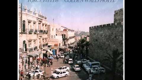 FORCE FIELDS Momentum