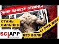 Как Избавиться От Жира и Боли Внизу Спины | Джефф Кавальер