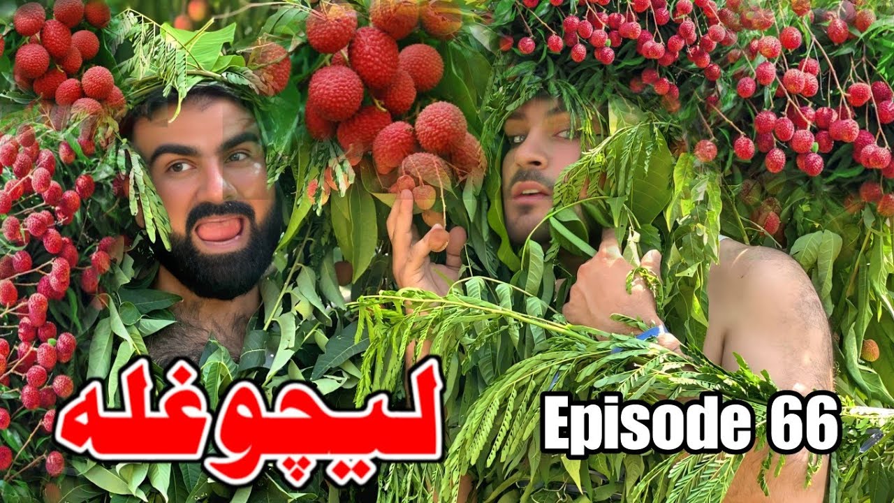 Da Lichee Ghla Pashto Funny Drama Episode 66 By Takar Vines 