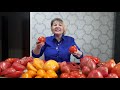 Самые вкусные и урожайные сорта томатов в разрезе 2021. часть 1.